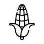 100% CORN